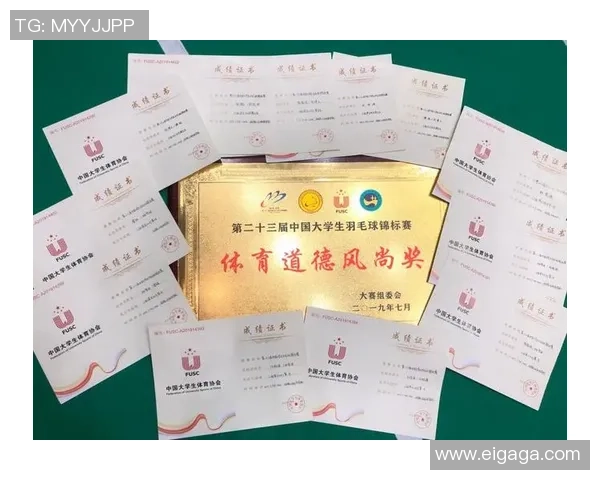 南京羽毛球队在全国羽毛球灵活性排行榜中荣获第六名的佳绩分析