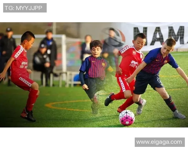 广州排球队的耐力训练与比赛表现的深度探讨与分析